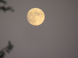halmoon03.jpg