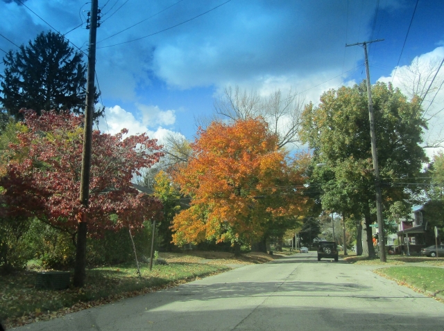 fall19.jpg