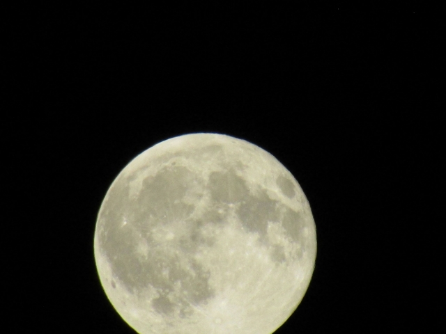 moon87251.jpg
