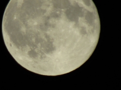 moon87253.jpg