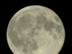 moon87254.jpg