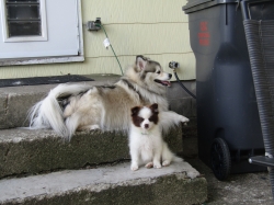 Filename=leo11.jpg
Filesize=4021KiB
Dimensions=3000x2250
Date added=Oct 31, 2025 leo11.jpg