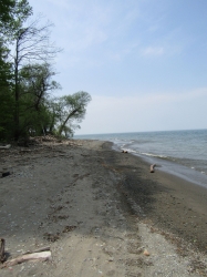 Filename=racoon09.jpg
Filesize=4219KiB
Dimensions=2249x3000
Date added=Oct 31, 2025 racoon09.jpg