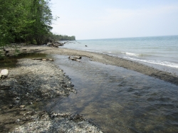 Filename=racoon10.jpg
Filesize=4305KiB
Dimensions=3000x2249
Date added=Oct 31, 2025 racoon10.jpg