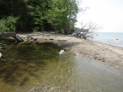 Filename=racoon12.jpg
Filesize=1201KiB
Dimensions=2834x2125
Date added=Oct 31, 2025 racoon12.jpg