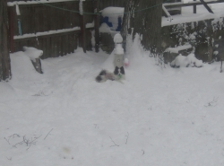 Filename=snowdog01.jpg
Filesize=408KiB
Dimensions=2254x1676
Date added=Oct 31, 2025 snowdog01.jpg