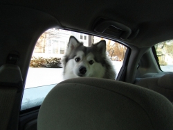 Filename=snowtrip00.jpg
Filesize=283KiB
Dimensions=2061x1546
Date added=Oct 31, 2025 snowtrip00.jpg