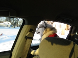 Filename=snowtrip05.jpg
Filesize=268KiB
Dimensions=2061x1546
Date added=Oct 31, 2025 snowtrip05.jpg