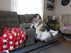 Filename=spoiled1.jpg
Filesize=433KiB
Dimensions=2318x1739
Date added=Oct 31, 2025 spoiled1.jpg