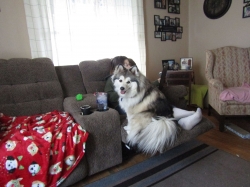 Filename=spoiled2.jpg
Filesize=458KiB
Dimensions=2318x1739
Date added=Oct 31, 2025 spoiled2.jpg