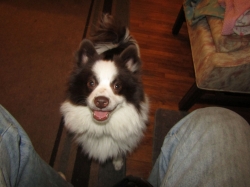 Filename=xmas2204.jpg
Filesize=428KiB
Dimensions=2576x1932
Date added=Oct 31, 2025 xmas2204.jpg