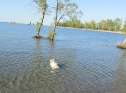 Filename=beach6.jpg
Filesize=604KiB
Dimensions=2057x1538
Date added=Oct 31, 2025 beach6.jpg