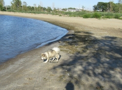 Filename=beach7.jpg
Filesize=666KiB
Dimensions=1998x1494
Date added=Oct 31, 2025 beach7.jpg