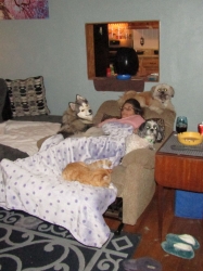 Filename=dogsit.jpg
Filesize=233KiB
Dimensions=1132x1510
Date added=Oct 31, 2025 dogsit.jpg