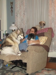 Filename=gmsitting01.jpg
Filesize=211KiB
Dimensions=1024x1370
Date added=Oct 31, 2025 gmsitting01.jpg