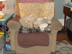 Filename=petsmay2104.jpg
Filesize=274KiB
Dimensions=1546x1159
Date added=Oct 31, 2025 petsmay2104.jpg