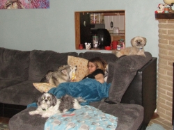 Filename=petsmay2106.jpg
Filesize=294KiB
Dimensions=1724x1293
Date added=Oct 31, 2025 petsmay2106.jpg