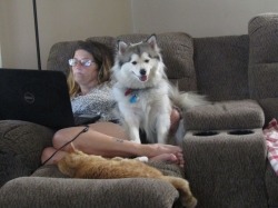 Filename=petwoman.jpg
Filesize=354KiB
Dimensions=2061x1546
Date added=Oct 31, 2025 petwoman.jpg