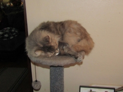 Filename=precute0.jpg
Filesize=315KiB
Dimensions=2050x1538
Date added=Oct 31, 2025 precute0.jpg