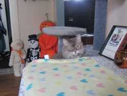 Filename=precute1.jpg
Filesize=401KiB
Dimensions=2083x1562
Date added=Oct 31, 2025 precute1.jpg