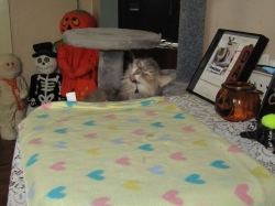 Filename=precute3.jpg
Filesize=358KiB
Dimensions=2061x1546
Date added=Oct 31, 2025 precute3.jpg