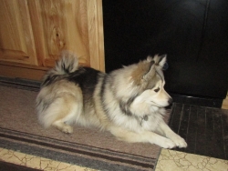 Filename=tedold.jpg
Filesize=3413KiB
Dimensions=3000x2259
Date added=Oct 31, 2025 tedold.jpg