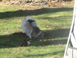 Filename=hole01.jpg
Filesize=945KiB
Dimensions=2061x1546
Date added=Oct 31, 2025 hole01.jpg