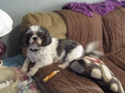 Filename=sheldon1.jpg
Filesize=740KiB
Dimensions=2576x1932
Date added=Oct 31, 2025 sheldon1.jpg