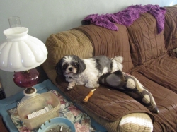 Filename=sheldon2.jpg
Filesize=735KiB
Dimensions=2576x1932
Date added=Oct 31, 2025 sheldon2.jpg