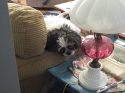 Filename=sheldon3.jpg
Filesize=632KiB
Dimensions=2576x1932
Date added=Oct 31, 2025 sheldon3.jpg