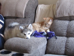 Filename=ted42503.jpg
Filesize=505KiB
Dimensions=1765x1324
Date added=Oct 31, 2025 ted42503.jpg