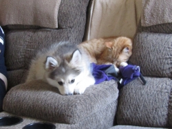 Filename=ted42504.jpg
Filesize=430KiB
Dimensions=1855x1391
Date added=Oct 31, 2025 ted42504.jpg