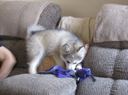 Filename=ted42505.jpg
Filesize=467KiB
Dimensions=1855x1391
Date added=Oct 31, 2025 ted42505.jpg