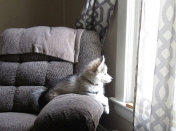 Filename=ted5101.jpg
Filesize=1343KiB
Dimensions=1564x1172
Date added=Oct 31, 2025 ted5101.jpg