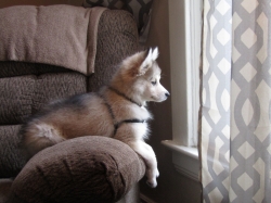 Filename=ted5102.jpg
Filesize=2500KiB
Dimensions=2303x1728
Date added=Oct 31, 2025 ted5102.jpg