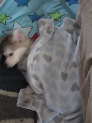 Filename=ted5103.jpg
Filesize=1075KiB
Dimensions=1156x1542
Date added=Oct 31, 2025 ted5103.jpg