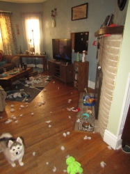 Filename=trashed.jpg
Filesize=463KiB
Dimensions=1546x2061
Date added=Oct 31, 2025 trashed.jpg