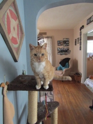 Filename=vacpets03.jpg
Filesize=457KiB
Dimensions=1546x2061
Date added=Oct 31, 2025 vacpets03.jpg