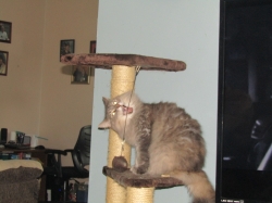 Filename=IMG_3649.JPG
Filesize=3715KiB
Dimensions=3000x2250
Date added=Oct 31, 2025 IMG_3649.JPG