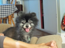 Filename=animals81903.jpg
Filesize=411KiB
Dimensions=2061x1546
Date added=Oct 31, 2025 animals81903.jpg