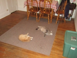 Filename=nip0.jpg
Filesize=277KiB
Dimensions=1481x1111
Date added=Oct 31, 2025 nip0.jpg