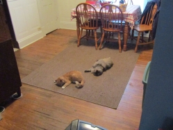 Filename=nip1.jpg
Filesize=258KiB
Dimensions=1481x1111
Date added=Oct 31, 2025 nip1.jpg