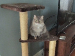 Filename=nip11093.jpg
Filesize=247KiB
Dimensions=1555x1164
Date added=Oct 31, 2025 nip11093.jpg