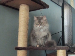 Filename=nip11094.jpg
Filesize=347KiB
Dimensions=1765x1321
Date added=Oct 31, 2025 nip11094.jpg