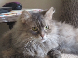 Filename=prec111902.jpg
Filesize=417KiB
Dimensions=2061x1546
Date added=Oct 31, 2025 prec111902.jpg