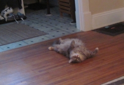 Filename=prec1192.jpg
Filesize=185KiB
Dimensions=1351x926
Date added=Oct 31, 2025 prec1192.jpg