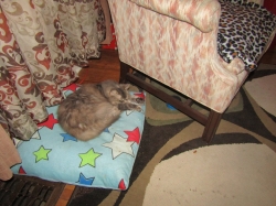 Filename=precsleep.jpg
Filesize=564KiB
Dimensions=2061x1546
Date added=Oct 31, 2025 precsleep.jpg