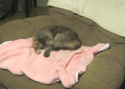 Filename=prec1803.jpg
Filesize=274KiB
Dimensions=1549x1109
Date added=Oct 31, 2025 prec1803.jpg