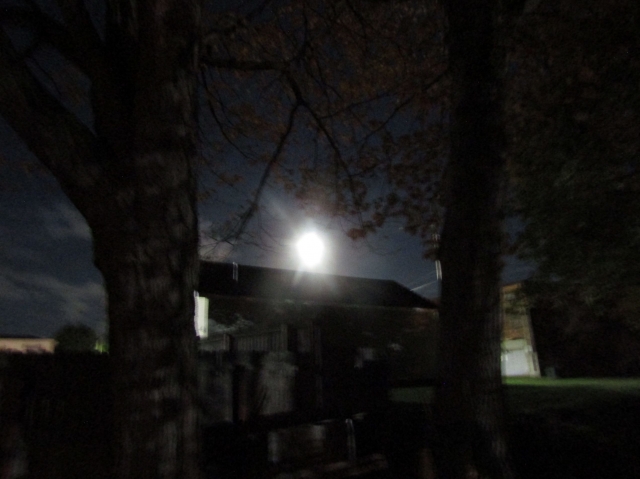 novmoon01.jpg