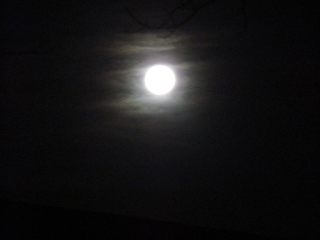 novmoon06.jpg